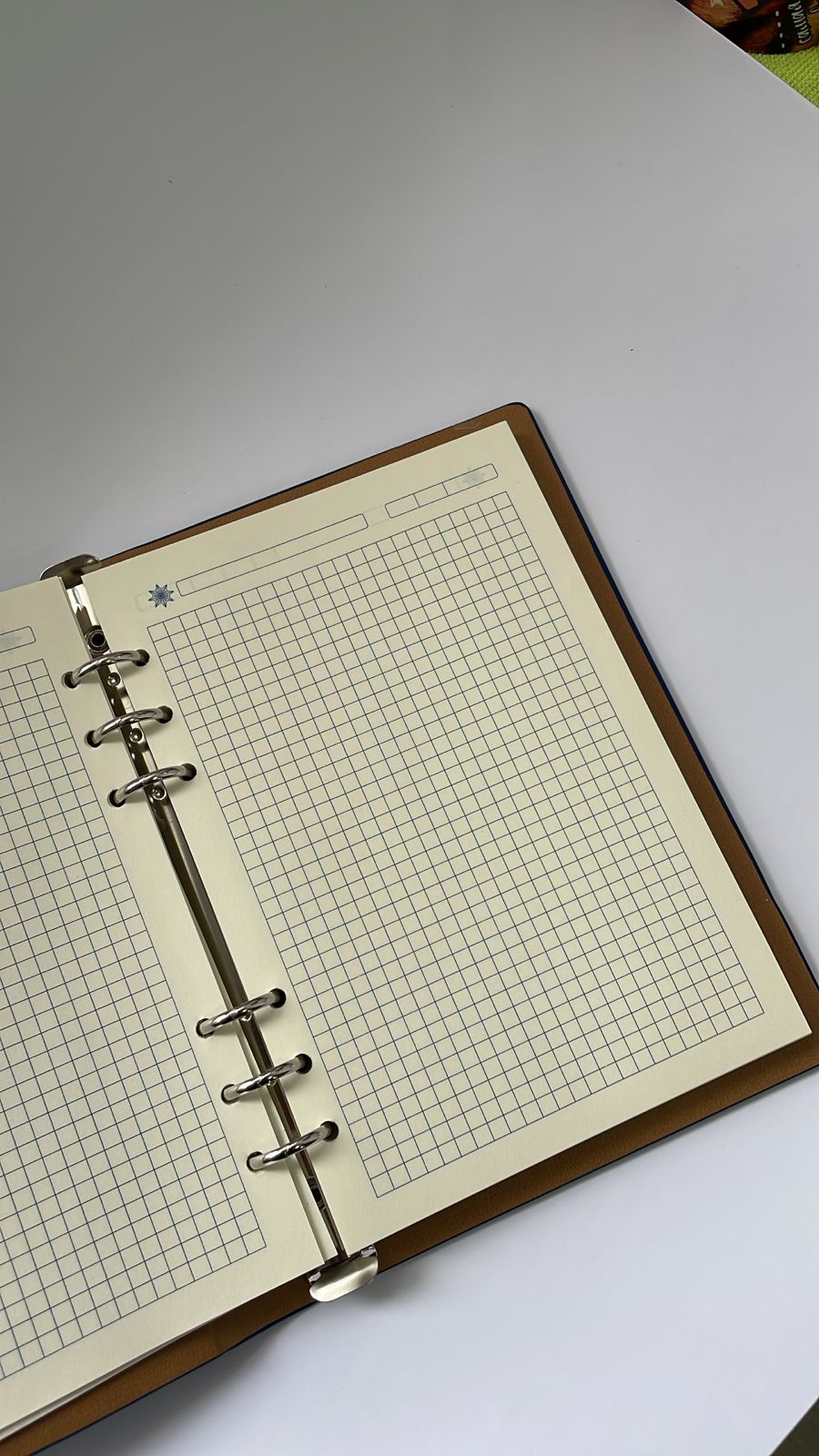 Ежедневник А5 на кольцах кожа 19245-25К